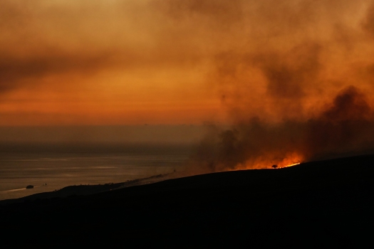 a lone tree back lit by a brush fire at sunset